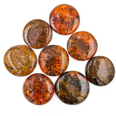Cognac Amber Free Shape Round Cabochons